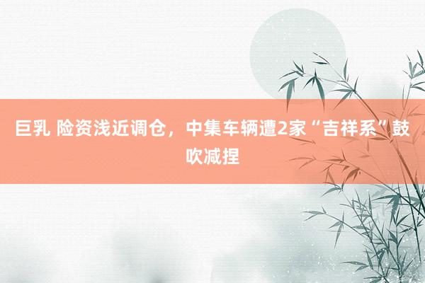 巨乳 险资浅近调仓,中集车辆遭2家“吉祥系”鼓吹减捏