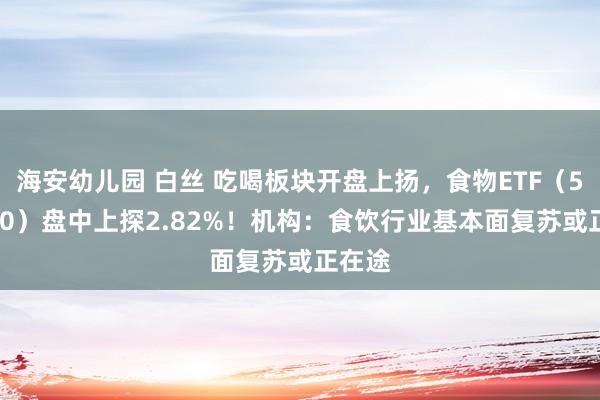 海安幼儿园 白丝 吃喝板块开盘上扬,食物ETF(515710)盘中上探2.82%!机构:食饮行业基本面复苏或正在途