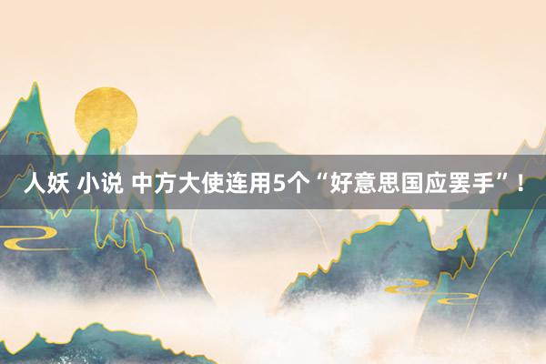 人妖 小说 中方大使连用5个“好意思国应罢手”!