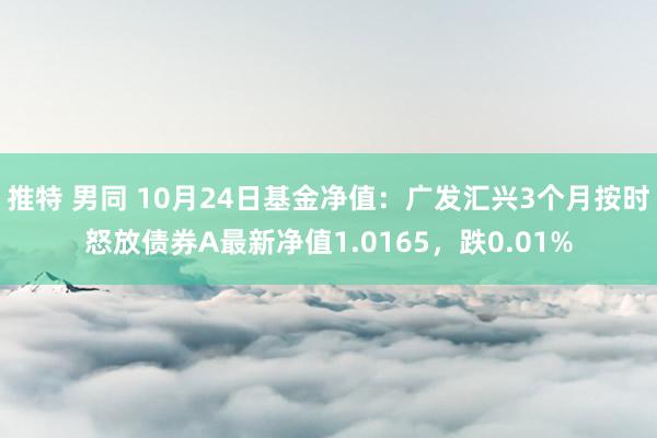 推特 男同 10月24日基金净值:广发汇兴3个月按时怒放债券A最新净值1.0165,跌0.01%