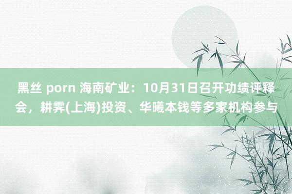 黑丝 porn 海南矿业:10月31日召开功绩评释会,耕霁(上海)投资、华曦本钱等多家机构参与