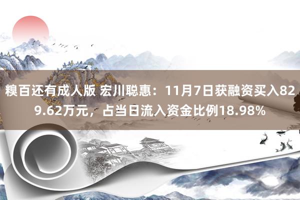 糗百还有成人版 宏川聪惠:11月7日获融资买入829.62万元,占当日流入资金比例18.98%