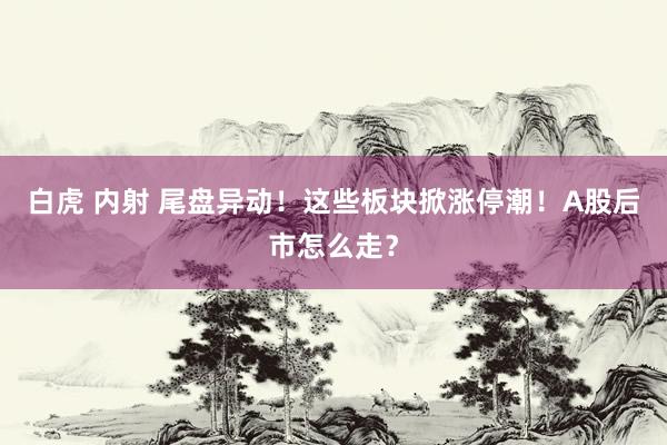 白虎 内射 尾盘异动！这些板块掀涨停潮！A股后市怎么走？