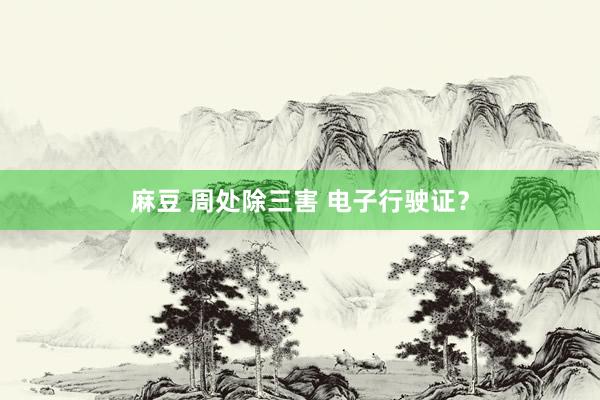 麻豆 周处除三害 电子行驶证？