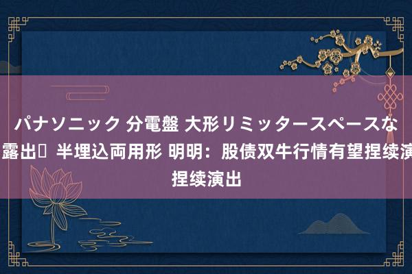 パナソニック 分電盤 大形リミッタースペースなし 露出・半埋込両用形 明明:股债双牛行情有望捏续演出