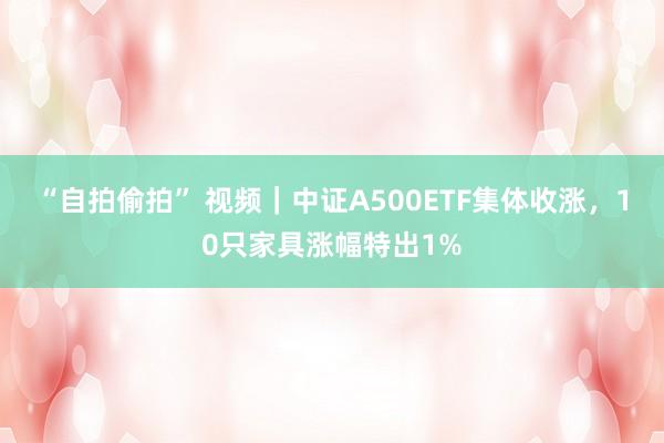 “自拍偷拍” 视频｜中证A500ETF集体收涨，10只家具涨幅特出1%