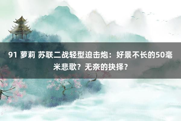 91 萝莉 苏联二战轻型迫击炮:好景不长的50毫米悲歌?无奈的抉择?