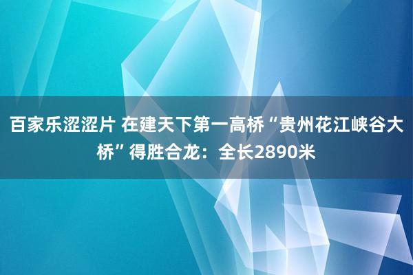 百家乐涩涩片 在建天下第一高桥“贵州花江峡谷大桥”得胜合龙:全长2890米