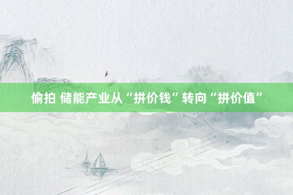 偷拍 储能产业从“拼价钱”转向“拼价值”