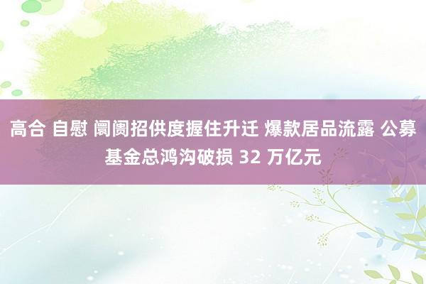 高合 自慰 阛阓招供度握住升迁 爆款居品流露 公募基金总鸿沟破损 32 万亿元
