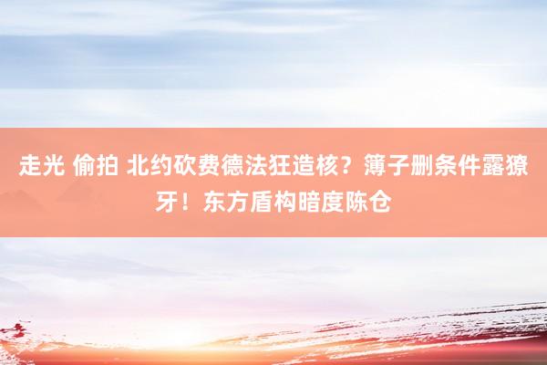 走光 偷拍 北约砍费德法狂造核？簿子删条件露獠牙！东方盾构暗度陈仓