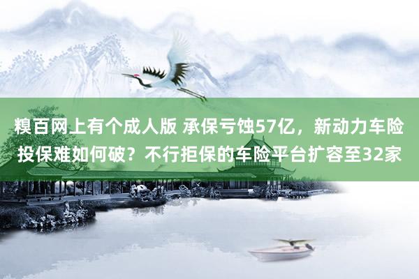 糗百网上有个成人版 承保亏蚀57亿，新动力车险投保难如何破？不行拒保的车险平台扩容至32家