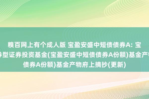 糗百网上有个成人版 宝盈安盛中短债债券A: 宝盈安盛中短债债券型证券投资基金(宝盈安盛中短债债券A份额)基金产物府上摘抄(更新)