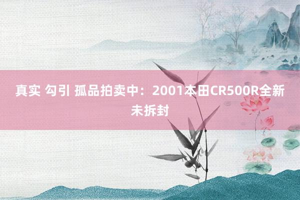 真实 勾引 孤品拍卖中：2001本田CR500R全新未拆封